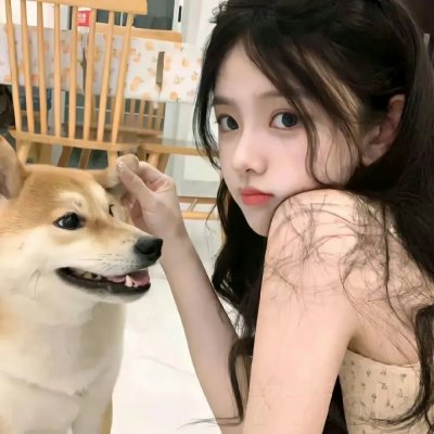 在无爱之森呐喊：深入密森